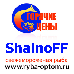 ��� ShalnoFF �������������� ���� �����
