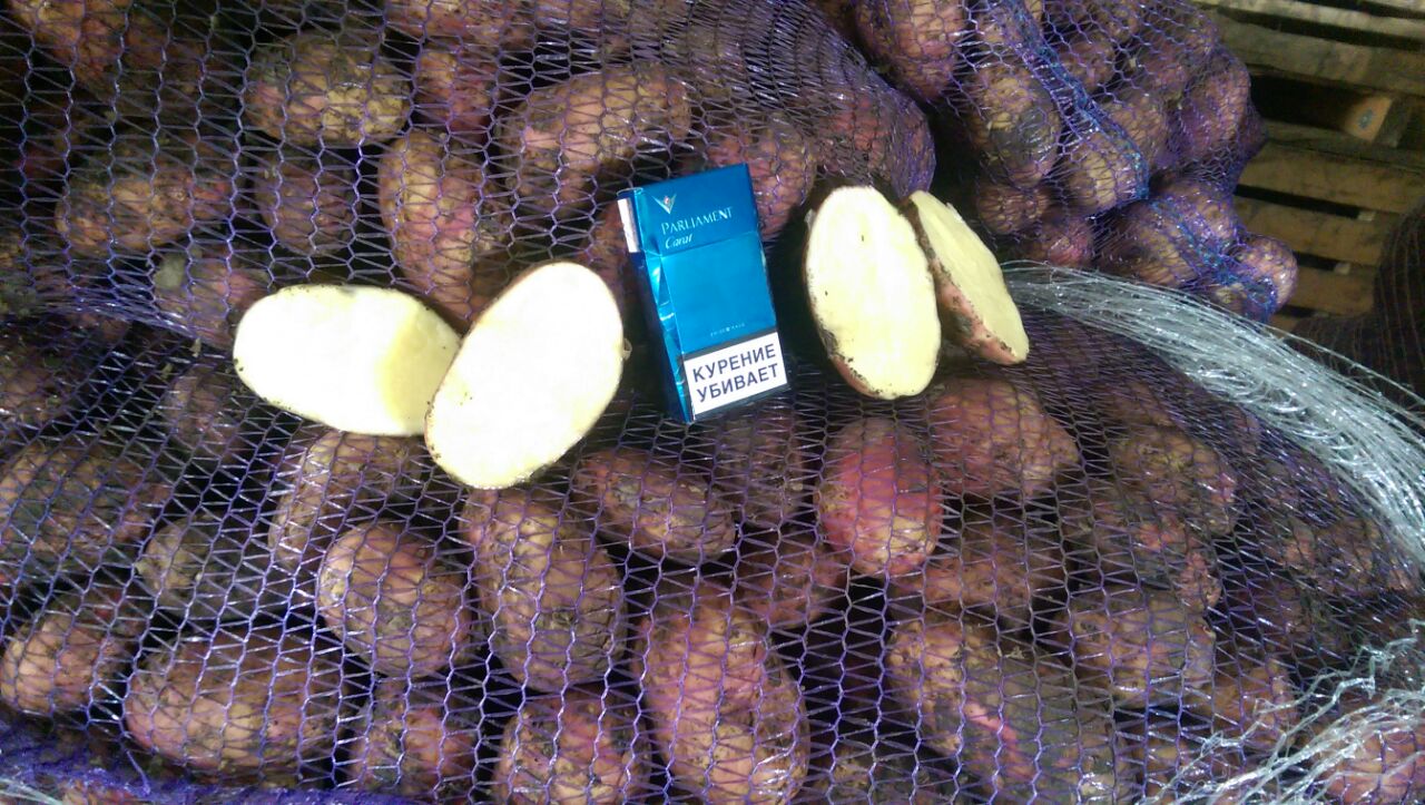 ��� �������� �����