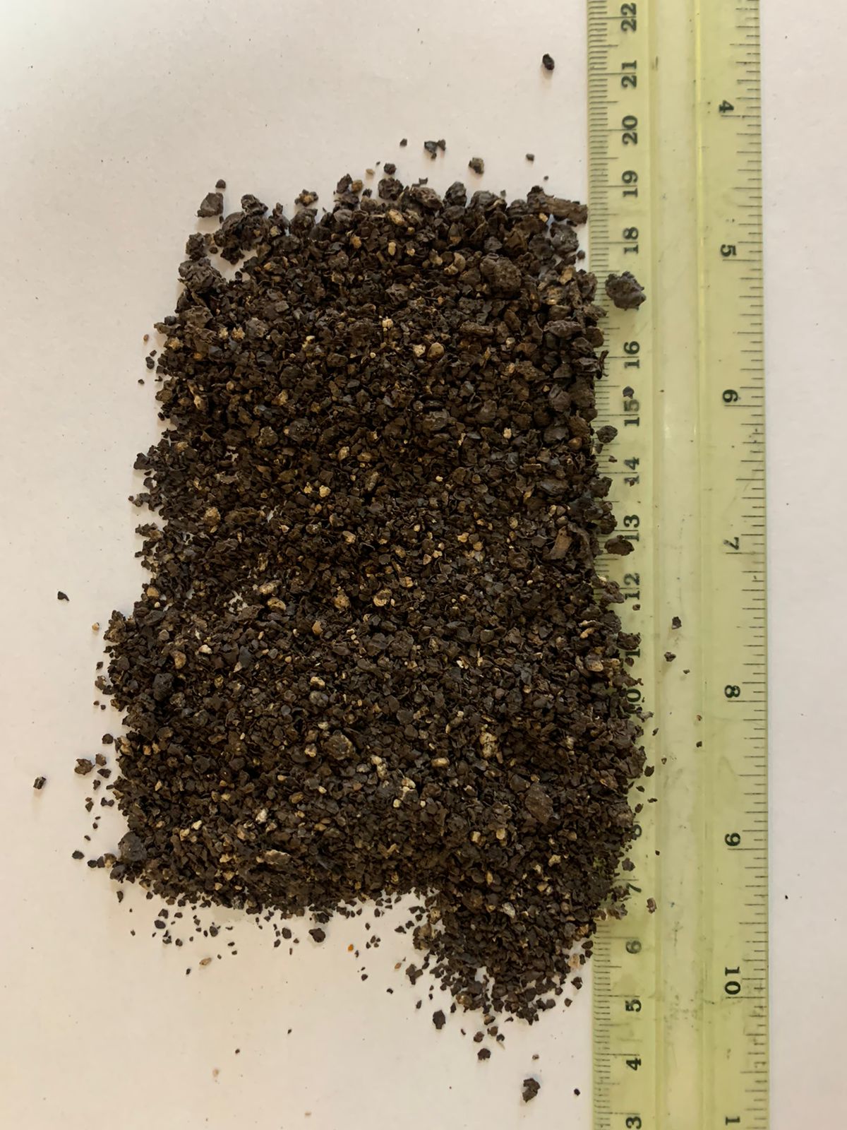 ����� ������� �����